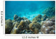 Tropical Underwater Landscape