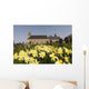 Yellow Daffodils In A Cemetery Beside A Church Wall Mural