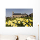 Yellow Daffodils In A Cemetery Beside A Church Wall Mural