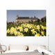 Yellow Daffodils In A Cemetery Beside A Church Wall Mural
