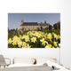 Yellow Daffodils In A Cemetery Beside A Church Wall Mural