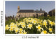 Yellow Daffodils In A Cemetery Beside A Church Wall Mural