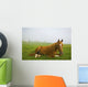 A Horse Sitting On The Grass In A Pasture Wall Mural