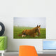 A Horse Sitting On The Grass In A Pasture Wall Mural