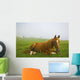 A Horse Sitting On The Grass In A Pasture Wall Mural