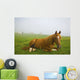 A Horse Sitting On The Grass In A Pasture Wall Mural