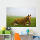 A Horse Sitting On The Grass In A Pasture Wall Mural