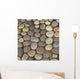 Various Colored Stones Ground Wall Mural