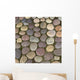 Various Colored Stones Ground Wall Mural