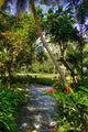 Jamaica Dunn River Waterfalls