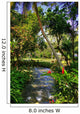 Jamaica Dunn River Waterfalls