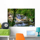 Jamaica - Dunn River Waterfalls (Landmark) Wall Mural