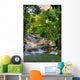 Jamaica Dunn River Waterfalls