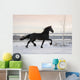 Black Horse Winter Wall Decal