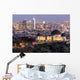 Griffith Observatory Park Wall Decal