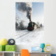 Old Steam Locomotive Snow