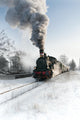 Old Steam Locomotive Snow