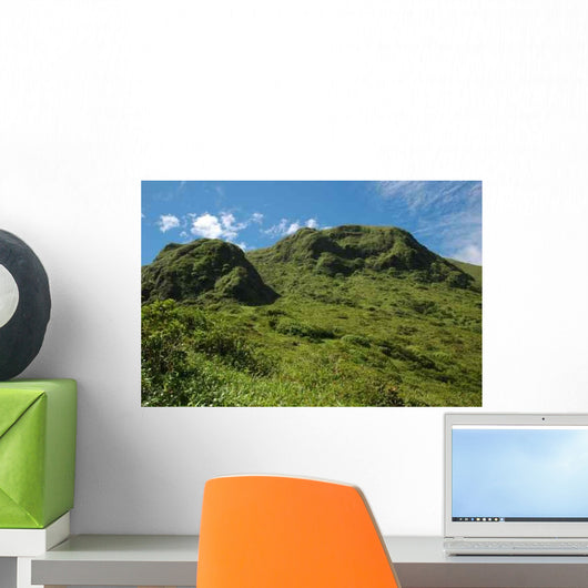 Mount Pelee Wall Decal