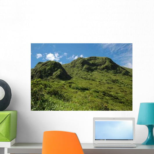 Mount Pelee Wall Decal
