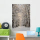 Winter Landscape Forest Wall Decal