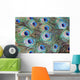 feathers Wall Mural