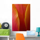 Extreme Close-Up Of Colorful Tulip Petals Wall Mural