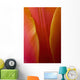 Extreme Close-Up Of Colorful Tulip Petals Wall Mural