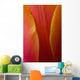 Extreme Close-Up Of Colorful Tulip Petals Wall Mural