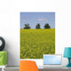 Field Mustard Wall Decal