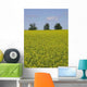 Field Mustard Wall Decal