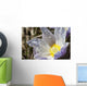 An Opened Prairie Crocus With Water Droplets Wall Mural