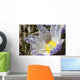 An Opened Prairie Crocus With Water Droplets Wall Mural