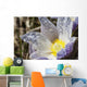 An Opened Prairie Crocus With Water Droplets Wall Mural