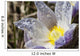 An Opened Prairie Crocus With Water Droplets Wall Mural