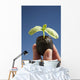 Cucumber Seedling With Water Droplet Wall Mural