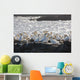 A Flock Of Gannets Standing On A Rock By The Water Wall Mural