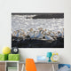 A Flock Of Gannets Standing On A Rock By The Water Wall Mural
