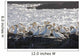 A Flock Of Gannets Standing On A Rock By The Water Wall Mural