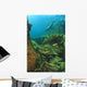 Fish And A Sea Lion Wall Mural