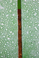 Close-Up Of Frost On Picnic Table At Wooden Shoe Tulip Farm Wall Mural