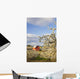 Apple Blossom Trees And A Red Barn Wall Mural
