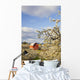 Apple Blossom Trees And A Red Barn Wall Mural
