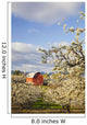 Apple Blossom Trees And A Red Barn Wall Mural