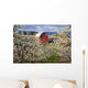 Apple Blossom Trees And A Red Barn Wall Mural