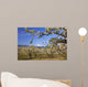 Apple Blossom Trees Wall Mural
