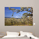 Apple Blossom Trees Wall Mural