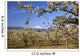 Apple Blossom Trees Wall Mural