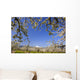 Apple Blossom Trees Wall Mural