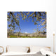 Apple Blossom Trees Wall Mural