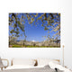 Apple Blossom Trees Wall Mural